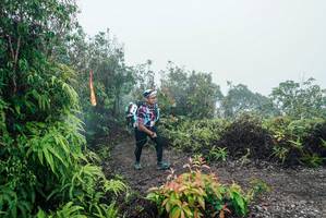 BIB: 
                            <button type="button" onclick="openModal(26272634)" class="btn btn-primary btn-sm float-right btn-popup" data-toggle="modal" data-target=".modal-high-quality">
                        <i class="fas fa-shopping-cart"></i> Add to Cart
                    </button>
                                            <button type="button" onclick="isThisMe(26272634, true)" class="btn btn-success btn-sm float-right btn-popup btn-isme hidden" data-toggle="tooltip" data-placement="bottom" title="นี่คือรูปของคุณใช่ไหม คลิกที่นี่เพื่อเอาเข้าอัลบั้ม">
                        <i class="fas fa-plus"></i> Add to album
                    </button>
                    <button type="button" onclick="isThisMe(26272634, false)" class="btn btn-warning btn-sm float-right btn-popup btn-isnotme hidden">
                        <i class="fas fa-ban"></i> Remove from album
                    </button>